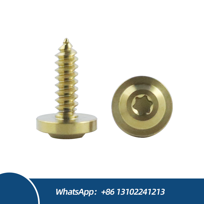 Titanium High Strength Motorcycle Screw Disc Head Self Tapping Screw