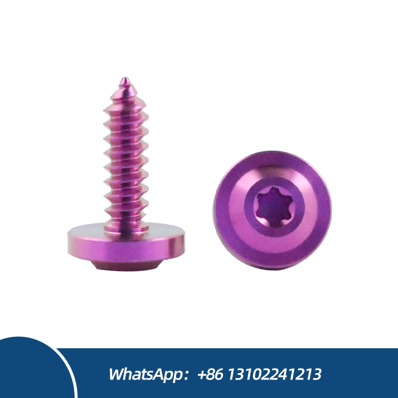 High Quality Titanium Durable Titanium Screws with Disc Head Self-Tapping Titanium Screw