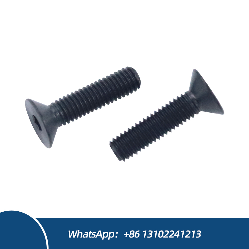 Black Countersunk Head Hexagon Socket Bolts Flat Head M2 M2.5 Titanium Bolts