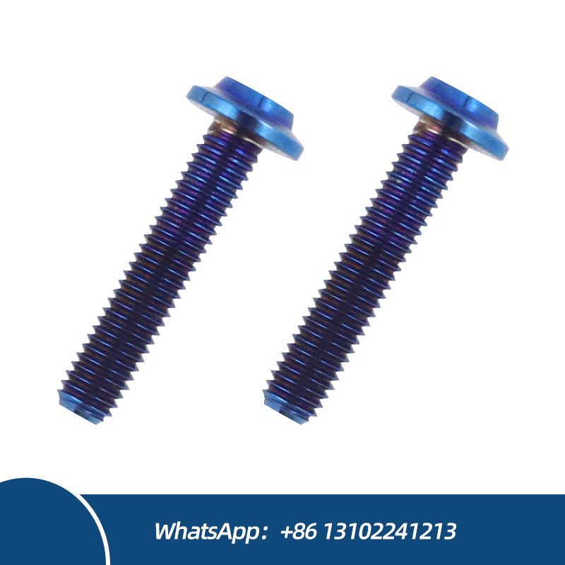 Factory Direct Customized M10 Titanium Alloy Disc Torx Head Socket Best Price Motorcycle Frame Body Bolts