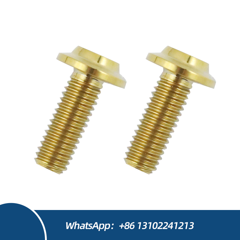Customized M6 Titanium Disc Head Bolts Screws for Motorcycles Hex Head 80mm 50mm Length