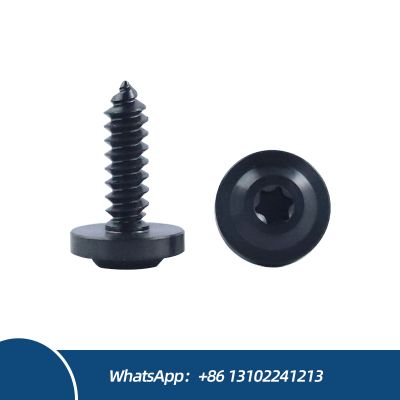Wholesale Lightweight Durable Titanium Self-Tapping Screws Disc Head Screw