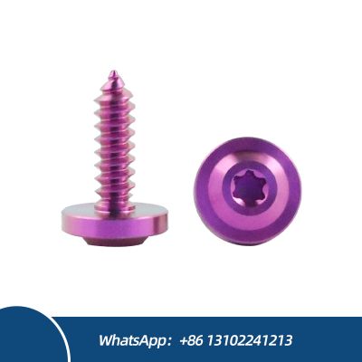 High Quality Titanium Durable Titanium Screws with Disc Head Self-Tapping Titanium Screw