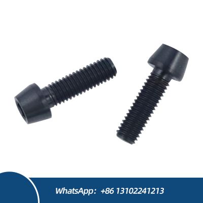 Custom Fasteners Cheese Head M4 M5 M6 M8 M10 Titanium Alloy Bolts