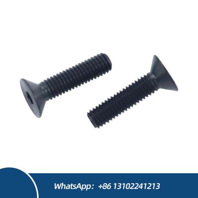 Black Countersunk Head Hexagon Socket Bolts Flat Head M2 M2.5 Titanium Bolts