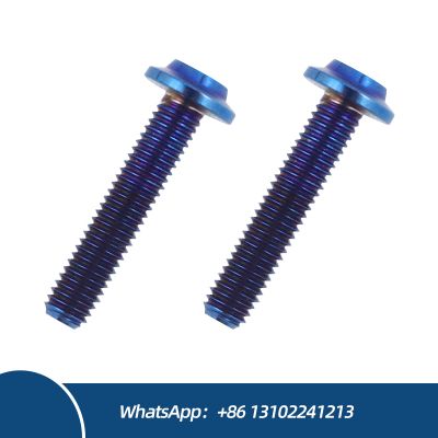 Factory Direct Customized M10 Titanium Alloy Disc Torx Head Socket Best Price Motorcycle Frame Body Bolts