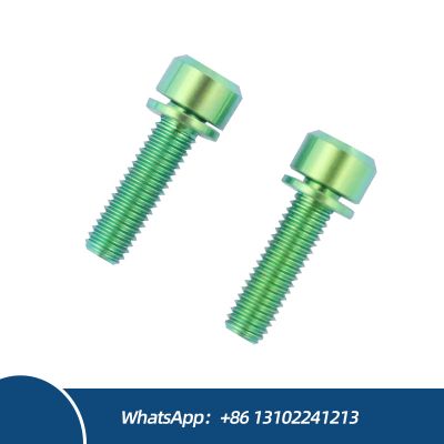 OEM ODM Titanium Customization M5 M6 Titanium Alloy Screws Round Head Bolt with Washer